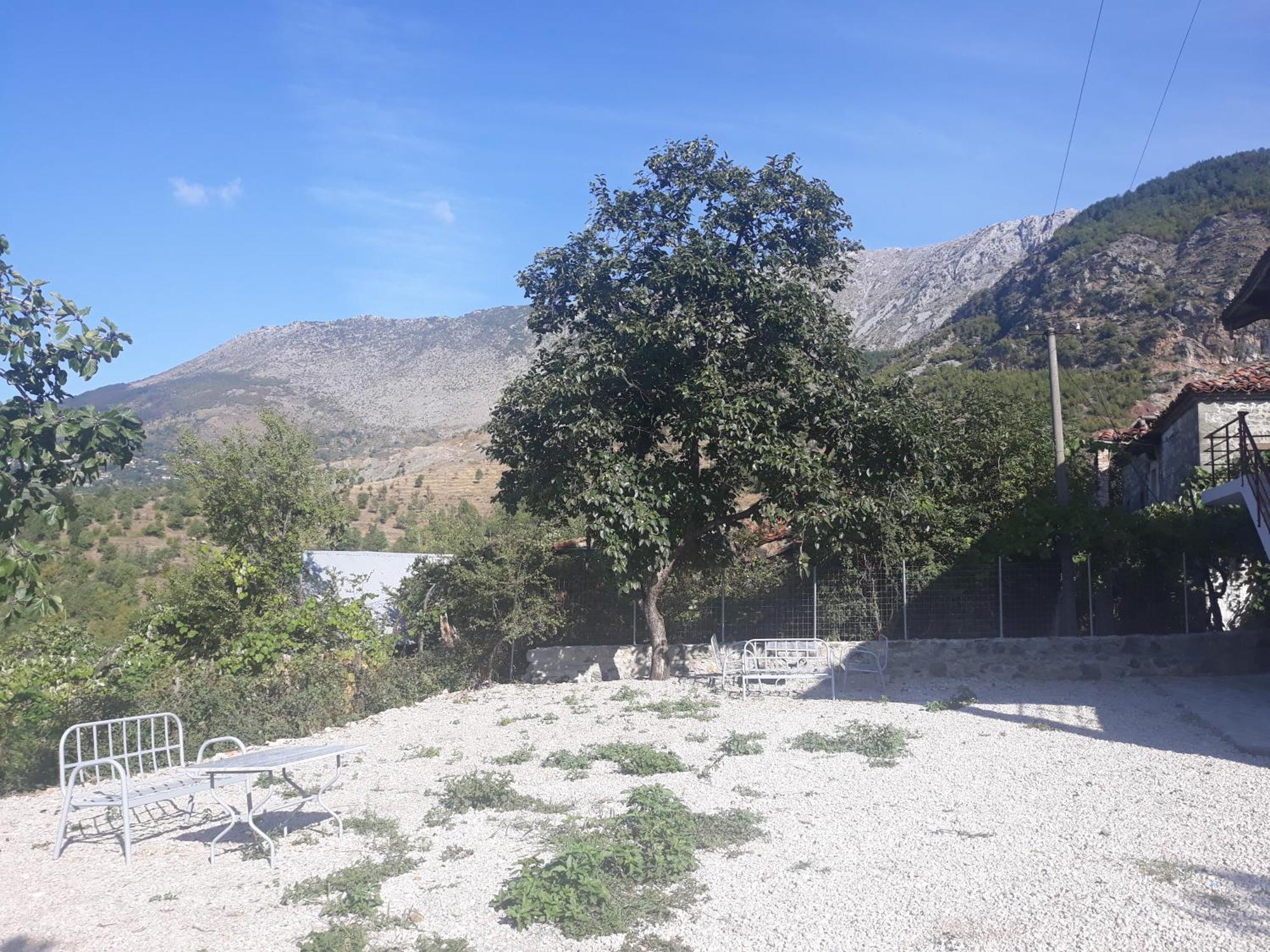 Vila Disha Tirana Zimmer foto